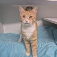Photo of Squinky