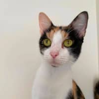 Photo of Elaine 
