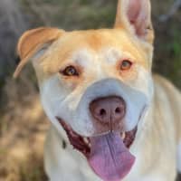 Photo of Zeke