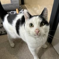 Photo of Shriggly
