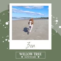 Photo of Zen