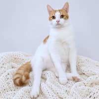 Photo of Clive