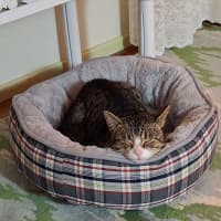 Photo of Reggie