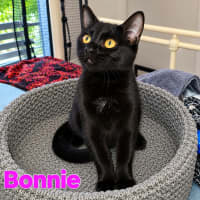 Photo of Bonnie