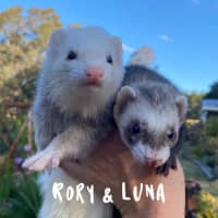 Photo of Luna & Rory