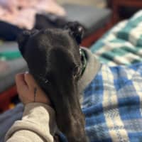 Photo of Elliot
