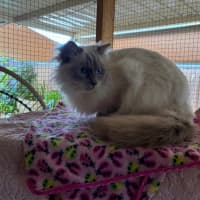Photo of Casper
