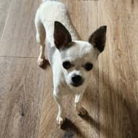 Photo of Tina