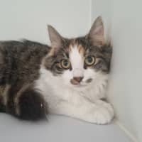 Photo of Cassie