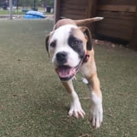 Photo of Betty