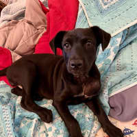 Photo of Skinny Marie (Evie)