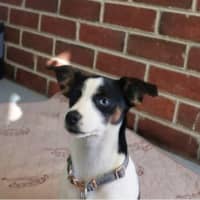 Photo of Lucy