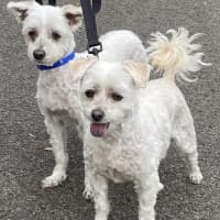 Photo of Snowy And Stormy