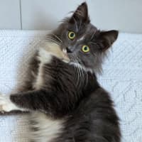 Photo of Jayla