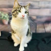 Photo of Coffee   Located In Thornbury