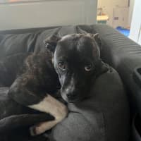 Photo of Daisy Haliwell