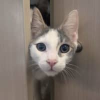 Photo of Mimi