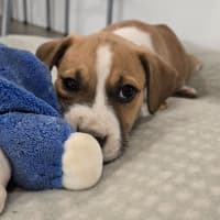 Photo of Lady Rainicorn