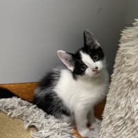 Photo of Fuzz
