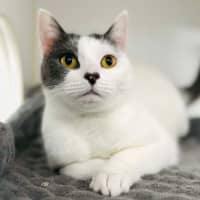 Photo of Coraline   Located In Preston