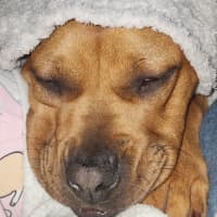 Photo of Maya
