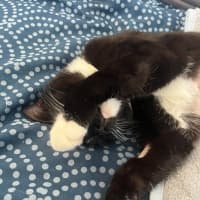 Photo of Luna 