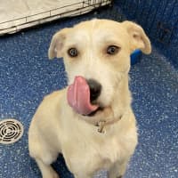 Photo of Grace Kelly