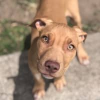 Photo of Lulu