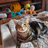 Photo of Buddy