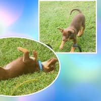 Photo of Humpty Dumpty