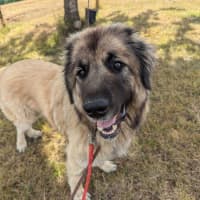 Photo of Hercules