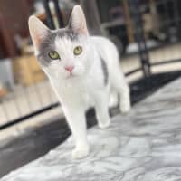 Photo of Barney Jr