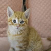 Photo of Kristoff
