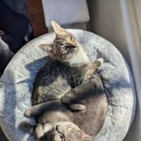 Photo of Bobby And Boris