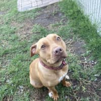 Photo of Sweetie