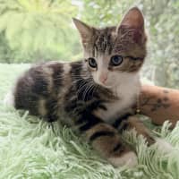 Photo of 🩷Juliet 🩷