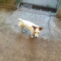 Photo of Tuppy