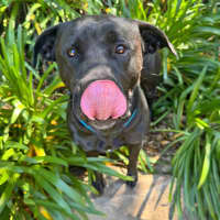 Photo of Bonnie