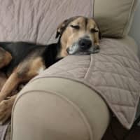 Photo of Ruby