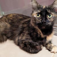 Photo of Hera