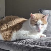 Photo of Dj