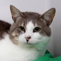 Photo of Leo Sta014385