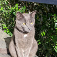 Photo of Teddy
