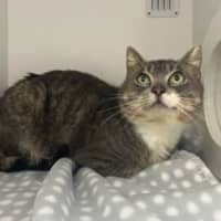 Photo of Mischief