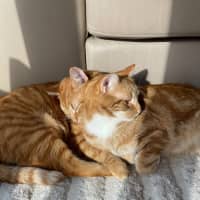 Photo of Grandpa George And Grandpa Joe