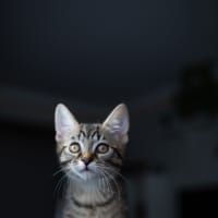 Photo of Stacys Brother