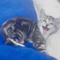 Photo of Mildred
