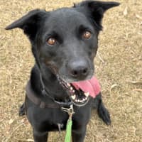 Photo of Marnie