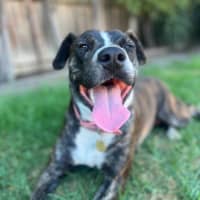 Photo of Darcee Cameron