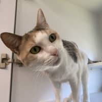 Photo of Lucy 
